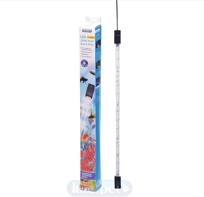 LED Start Plus Blue/White