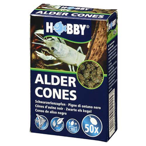 Hobby Alder Cones