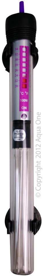 100W Heater