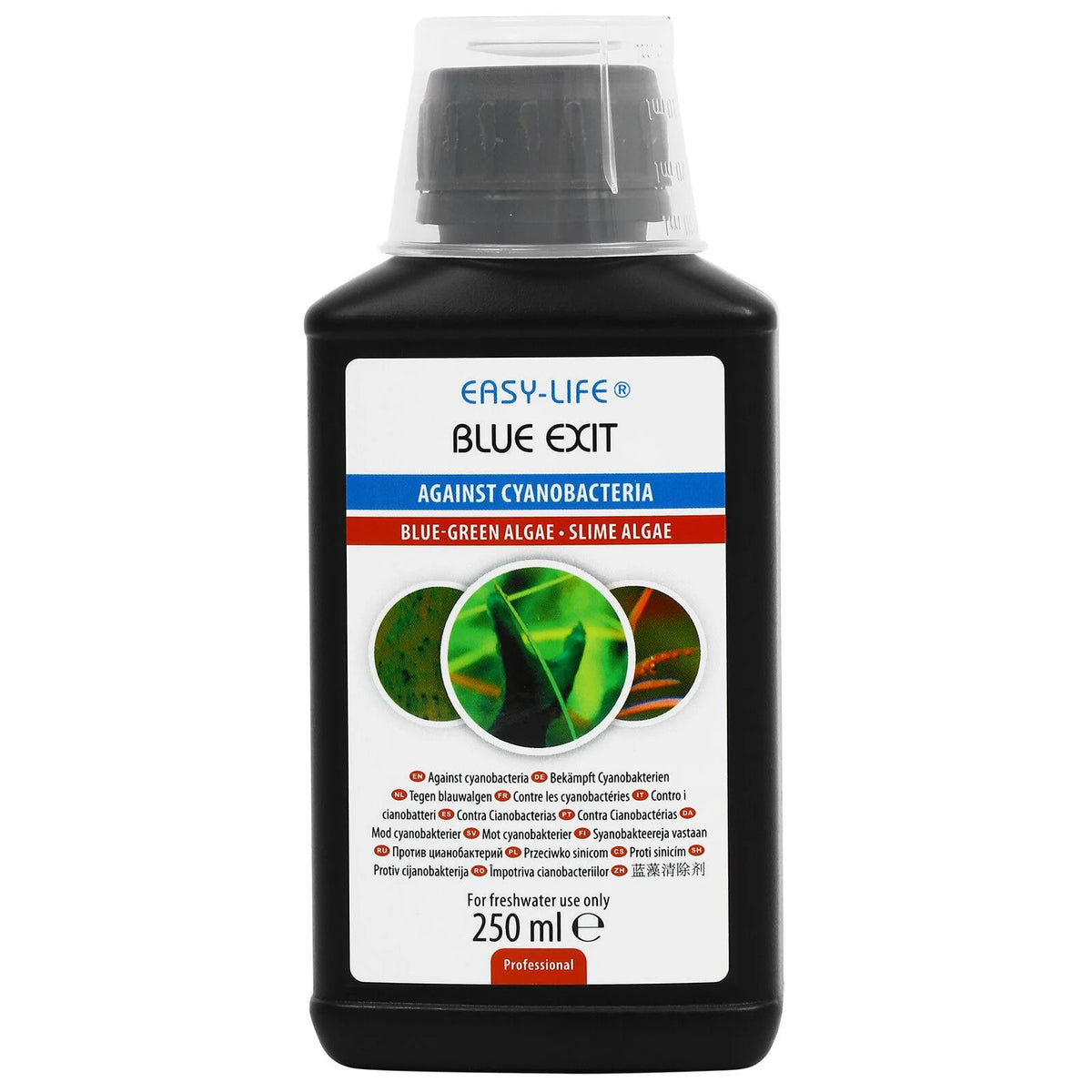 Blue Exit