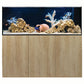 ReefSys 434