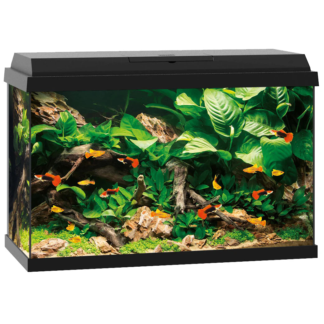 Juwel Primo 60 LED 2.0