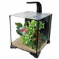 Betta Premium Aquarium Kit