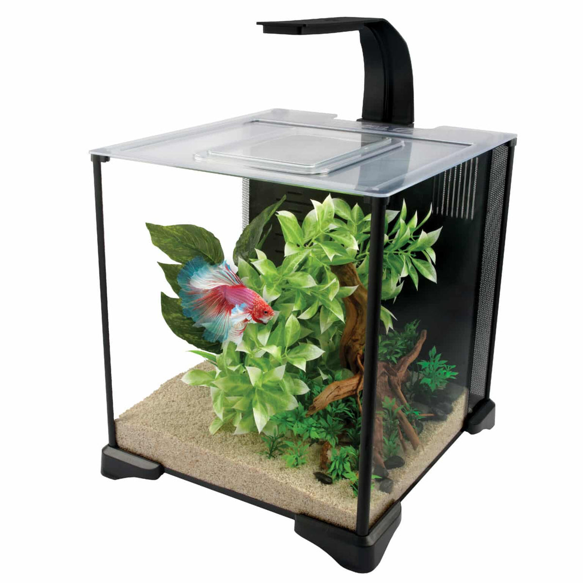 Betta Premium Aquarium Kit