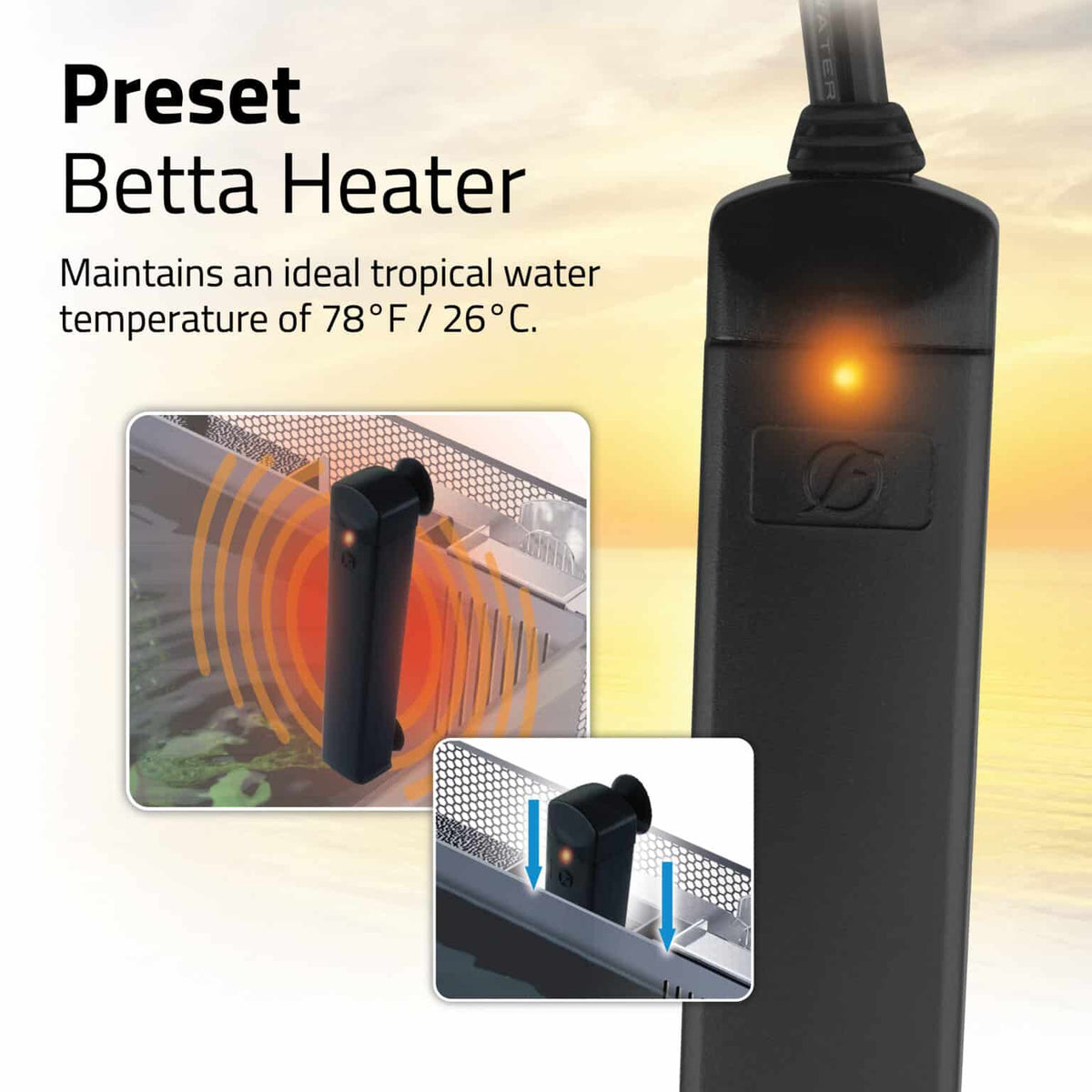 Betta Premium Aquarium Kit