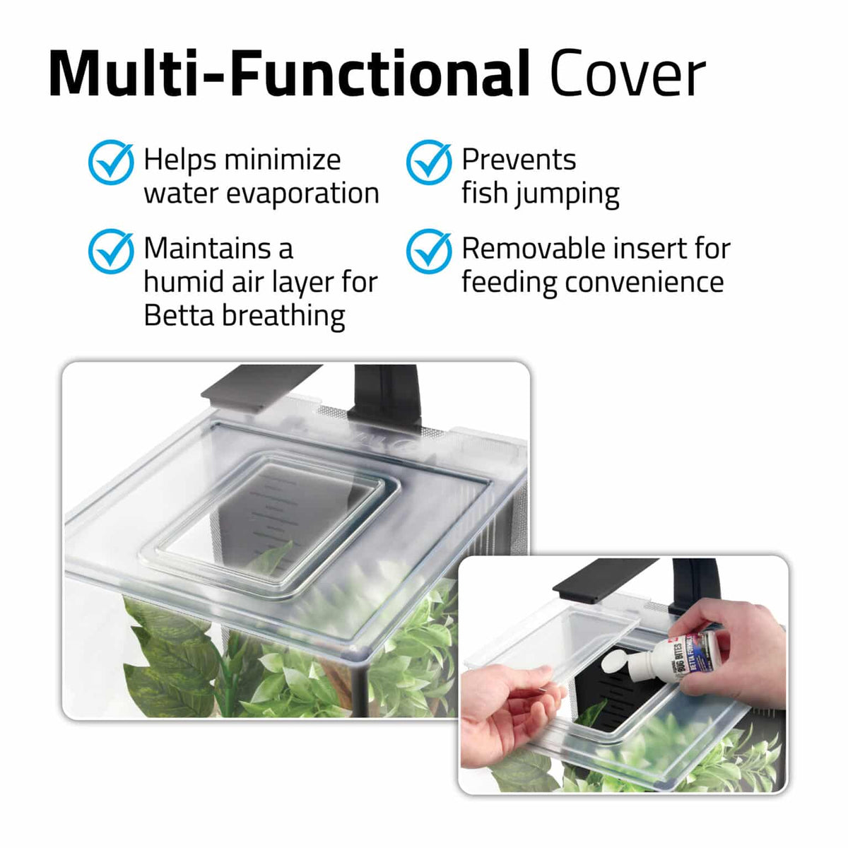 Betta Premium Aquarium Kit