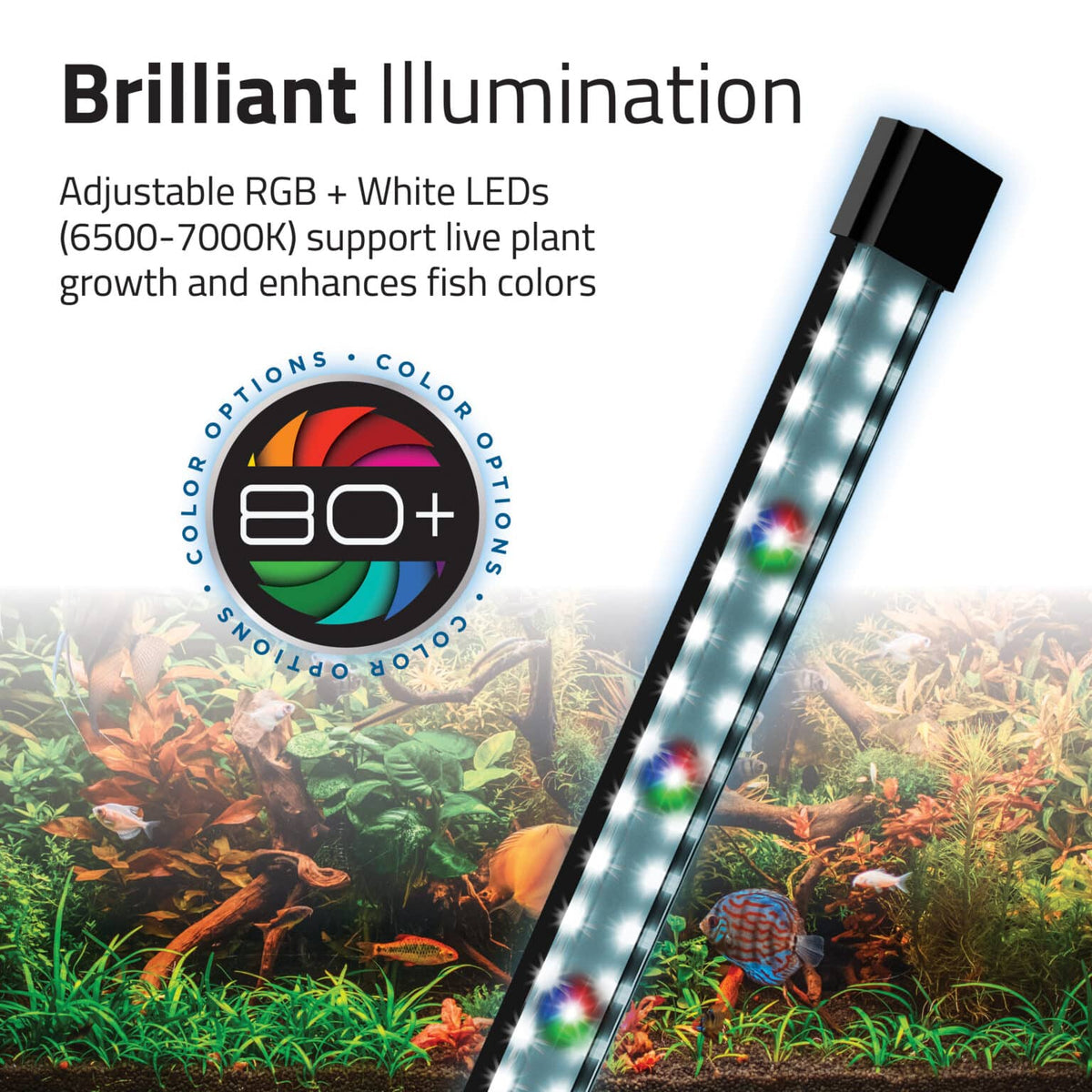 Flex 2.0 57L Aquarium Kit