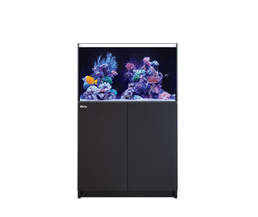 Red Sea Reefer MAX G3 250