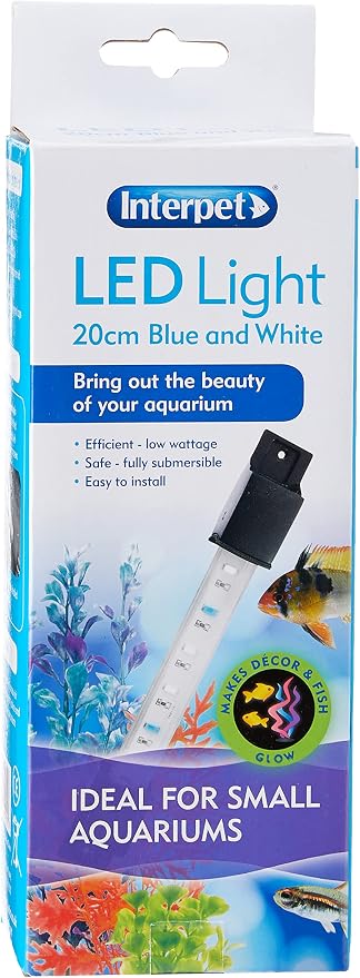Blue and White LED