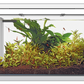Superfish Home 30 LED Aquarium - White