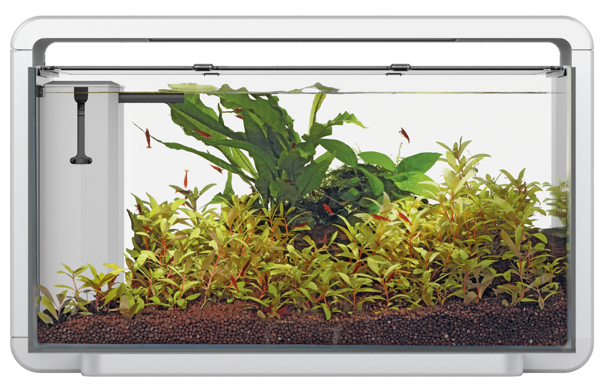 Superfish Home 30 LED Aquarium - White