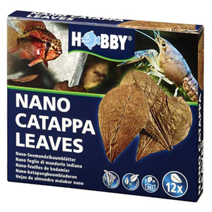 Nano Catappa Leaves