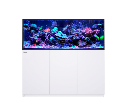 Red Sea Reefer G3 625