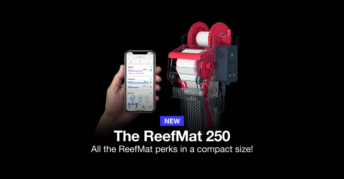 Red Sea ReefMat