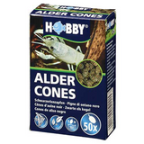 Hobby Alder Cones