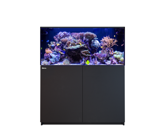 Red Sea Reefer G3 425