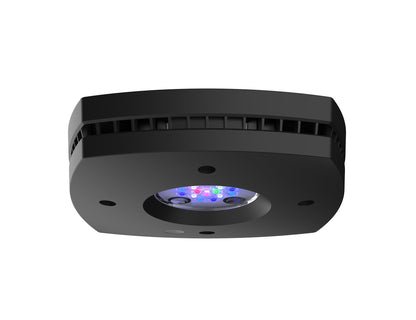 AI Prime 16HD MArine LED