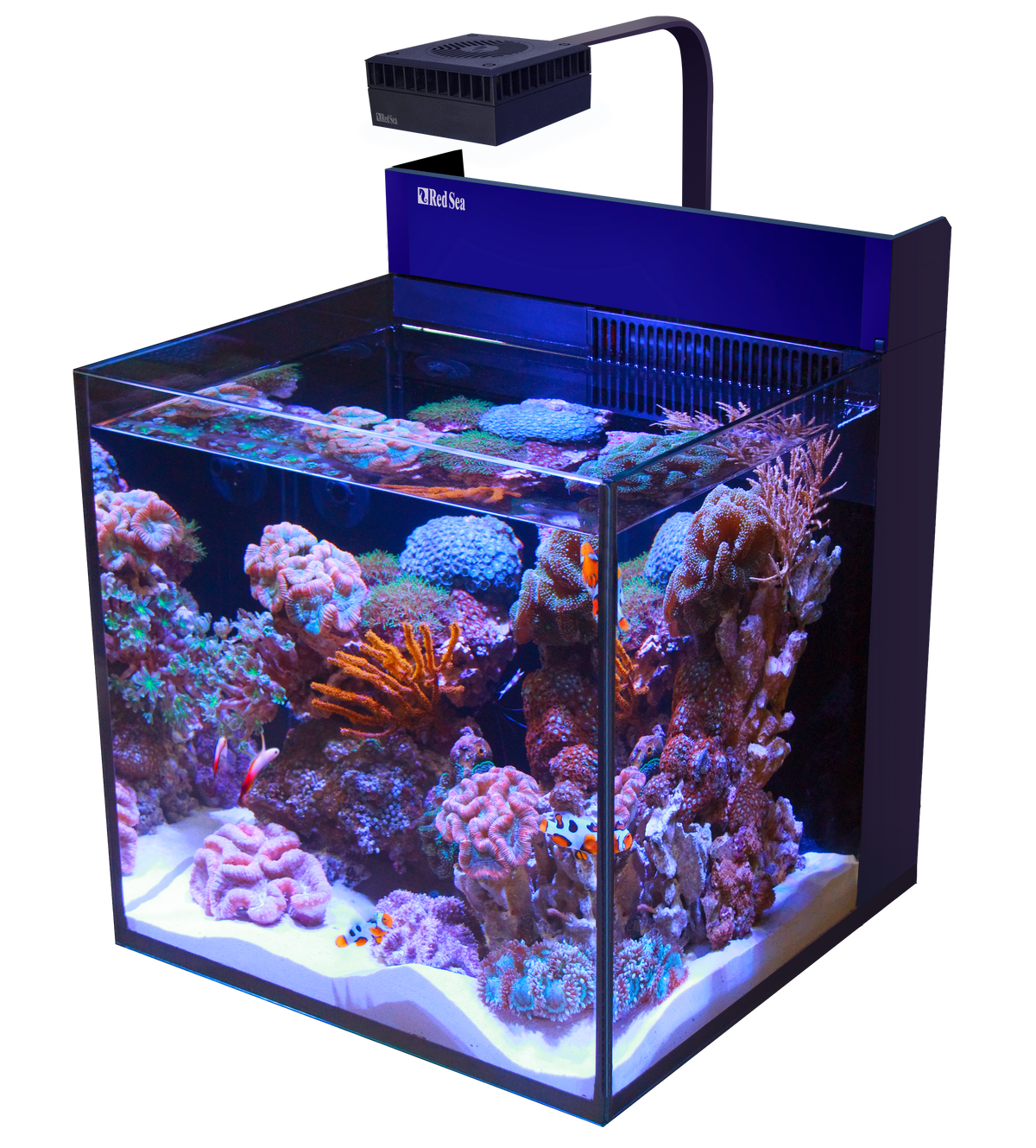 Red Sea Max G2 Nano Cube