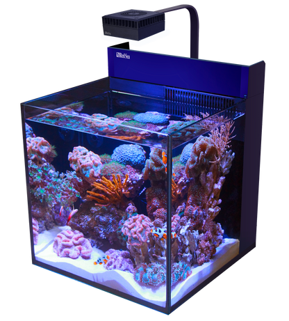 Red Sea Max G2 Nano Cube