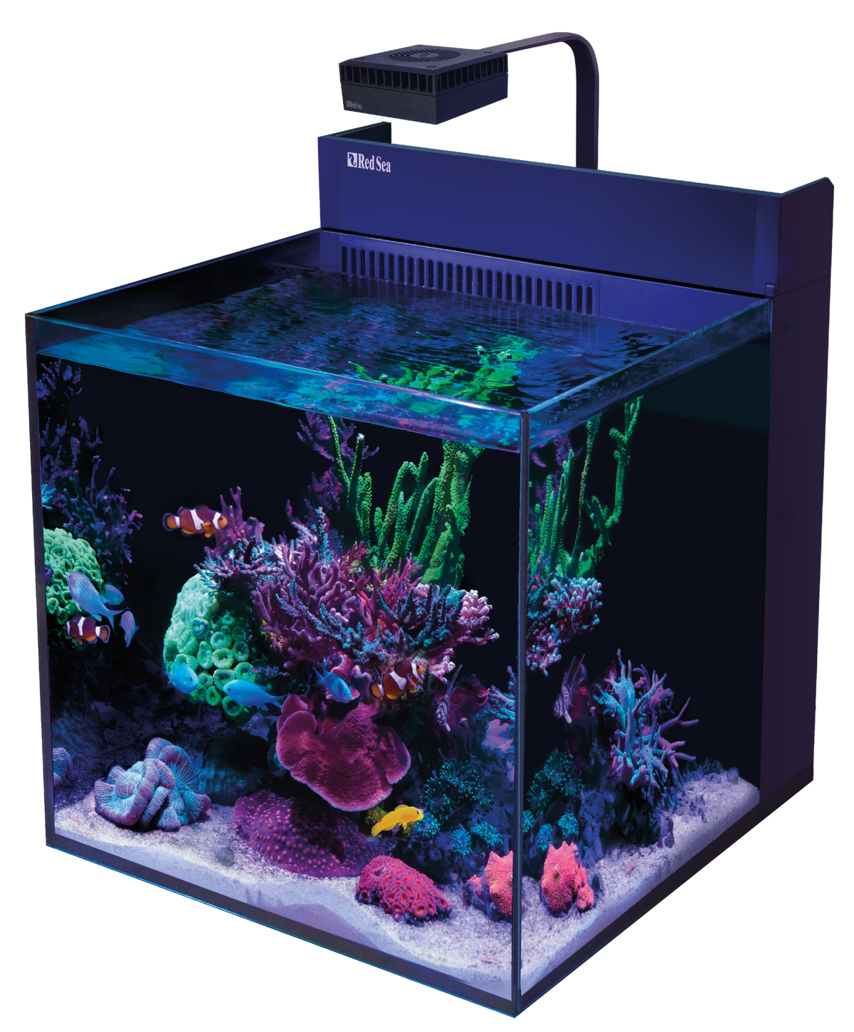 Red Sea Max Nano G2 XL