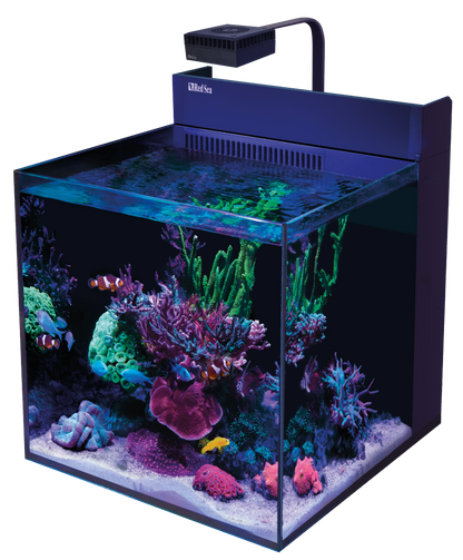 Red Sea Max Nano G2 XL