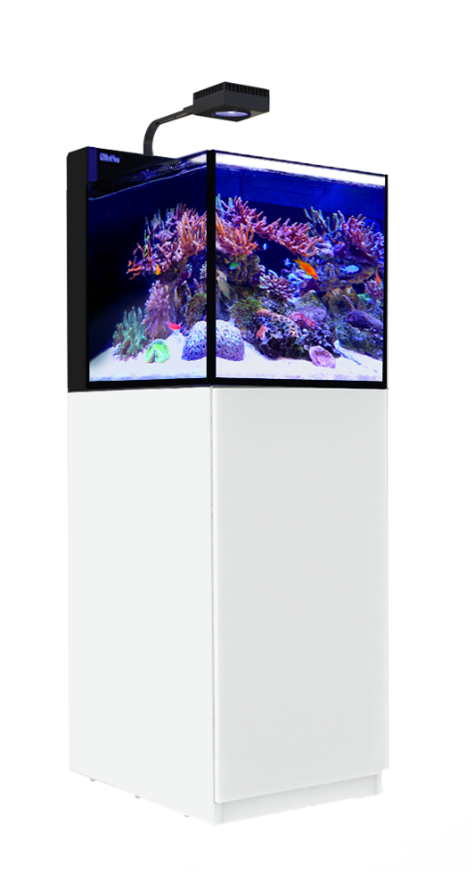 Red Sea Max Nano G2 Peninsula