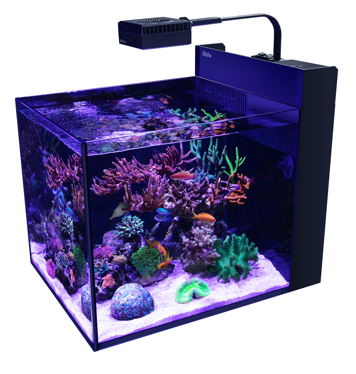 Red Sea Max Nano G2 Peninsula
