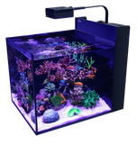 Red Sea Max Nano G2 Peninsula