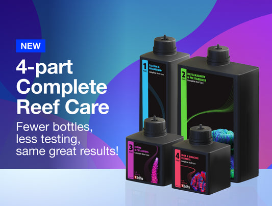 New 4 Part Reef Care Programme