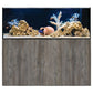 ReefSys 434