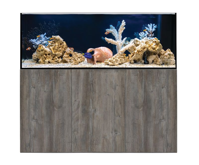 ReefSys 434
