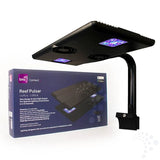 Reef Pulsar SPS-8