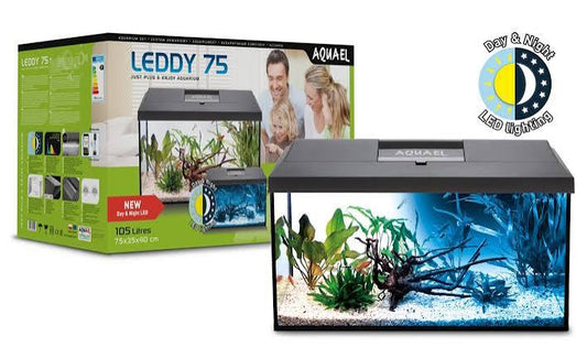 Leddy 75