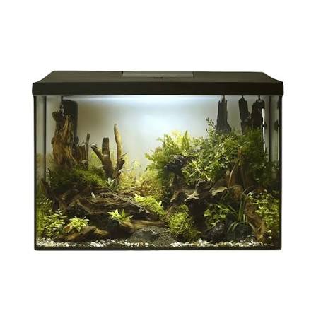 Aquael Leddy XL 60