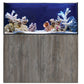 ReefSys 326
