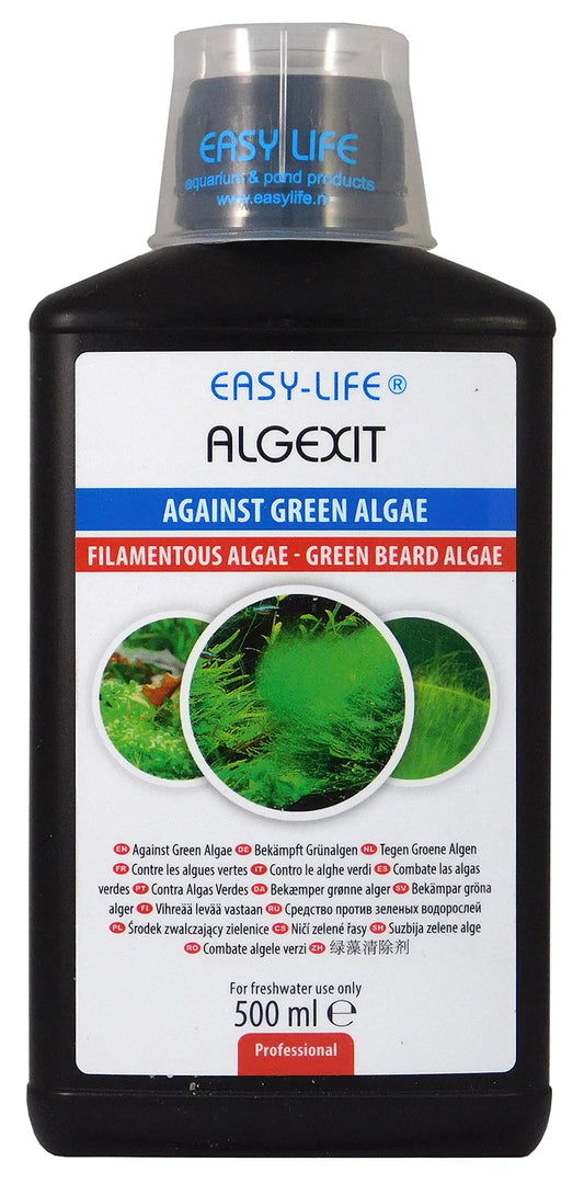 AlgExit