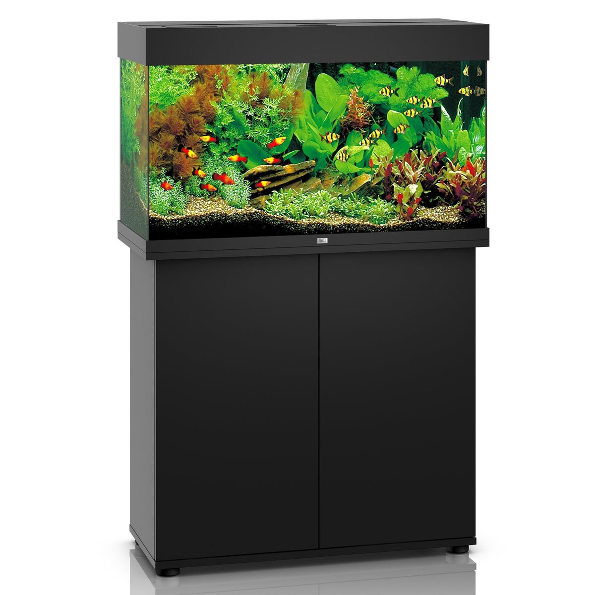 Juwel Rio 125 LED Aquarium And Cabinet