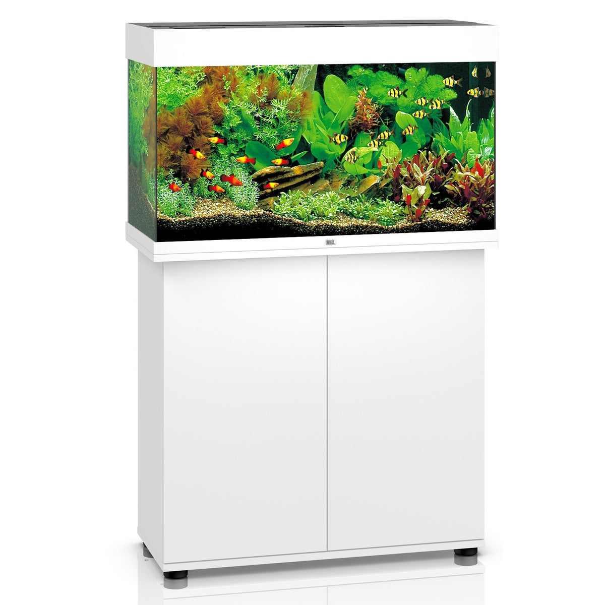 Juwel Rio 125 LED Aquarium And Cabinet