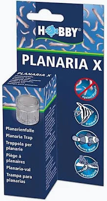 Planaria X Trap