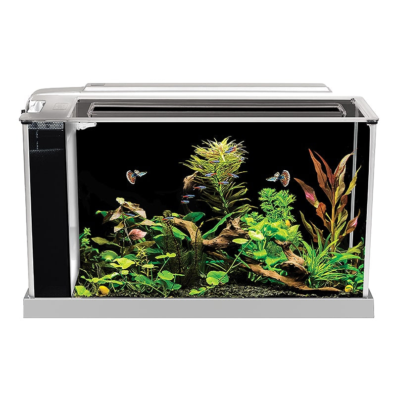 Spec 19L Aquarium Kit