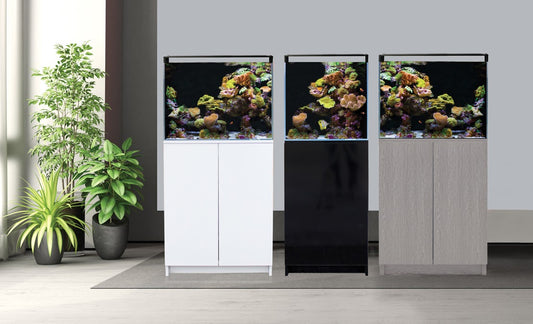 AquaOne MiniReef 120