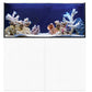 ReefSys 326