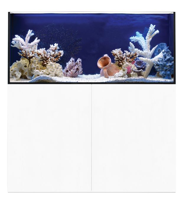 ReefSys 326